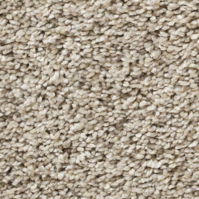 Carpet | Fantastic Collection